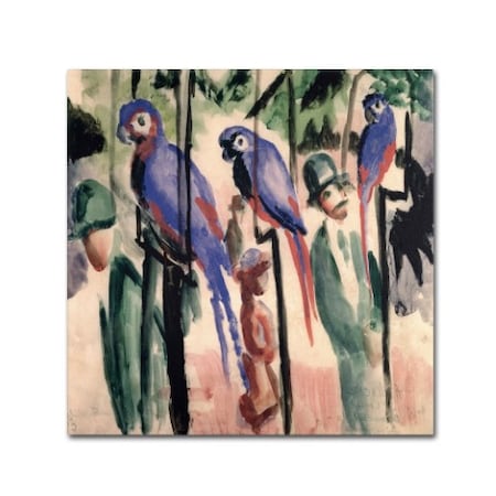 August Macke 'Blue Parrots' Canvas Art,35x35